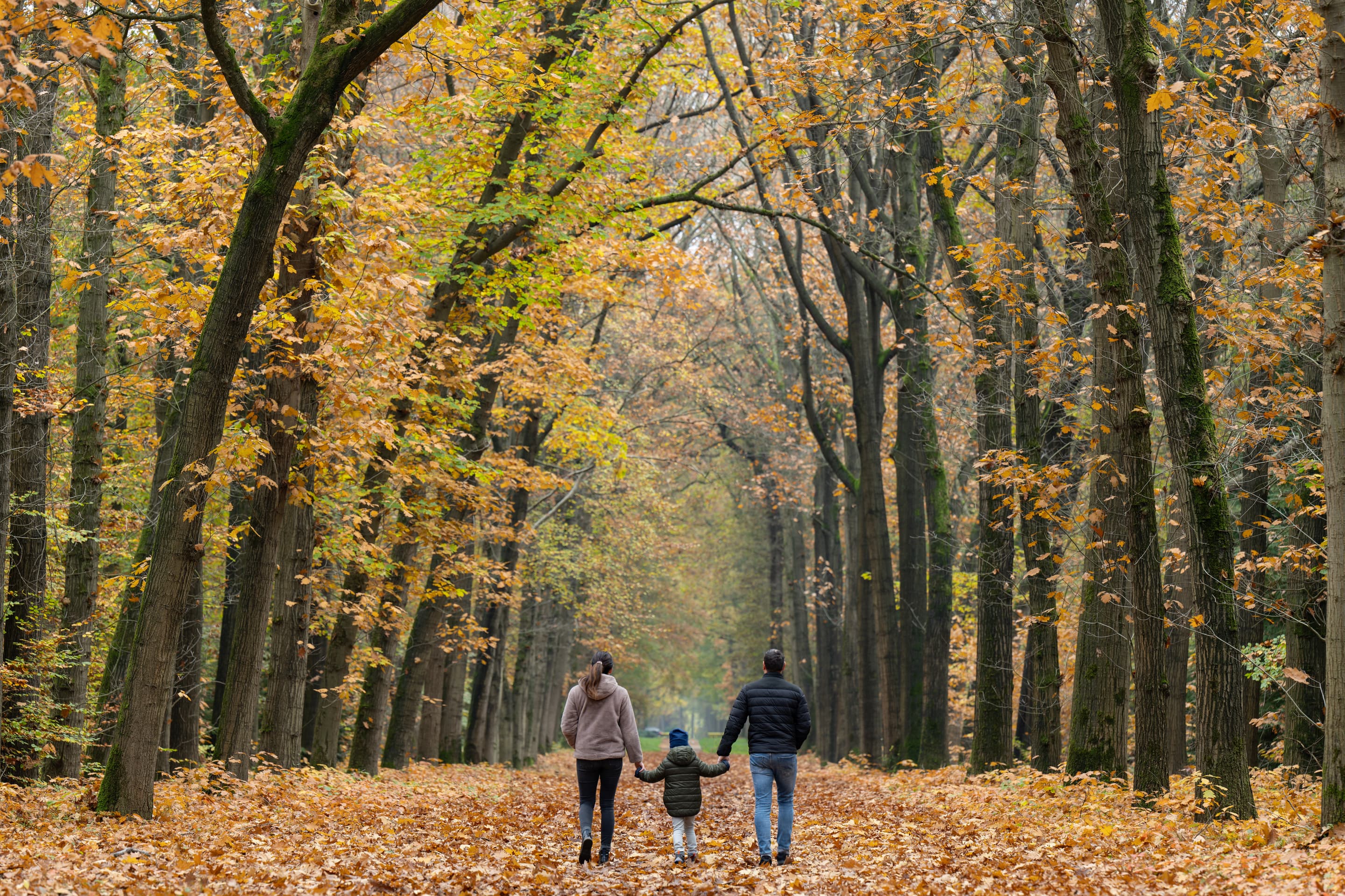 Life insurance - secures a death benefit to survivors