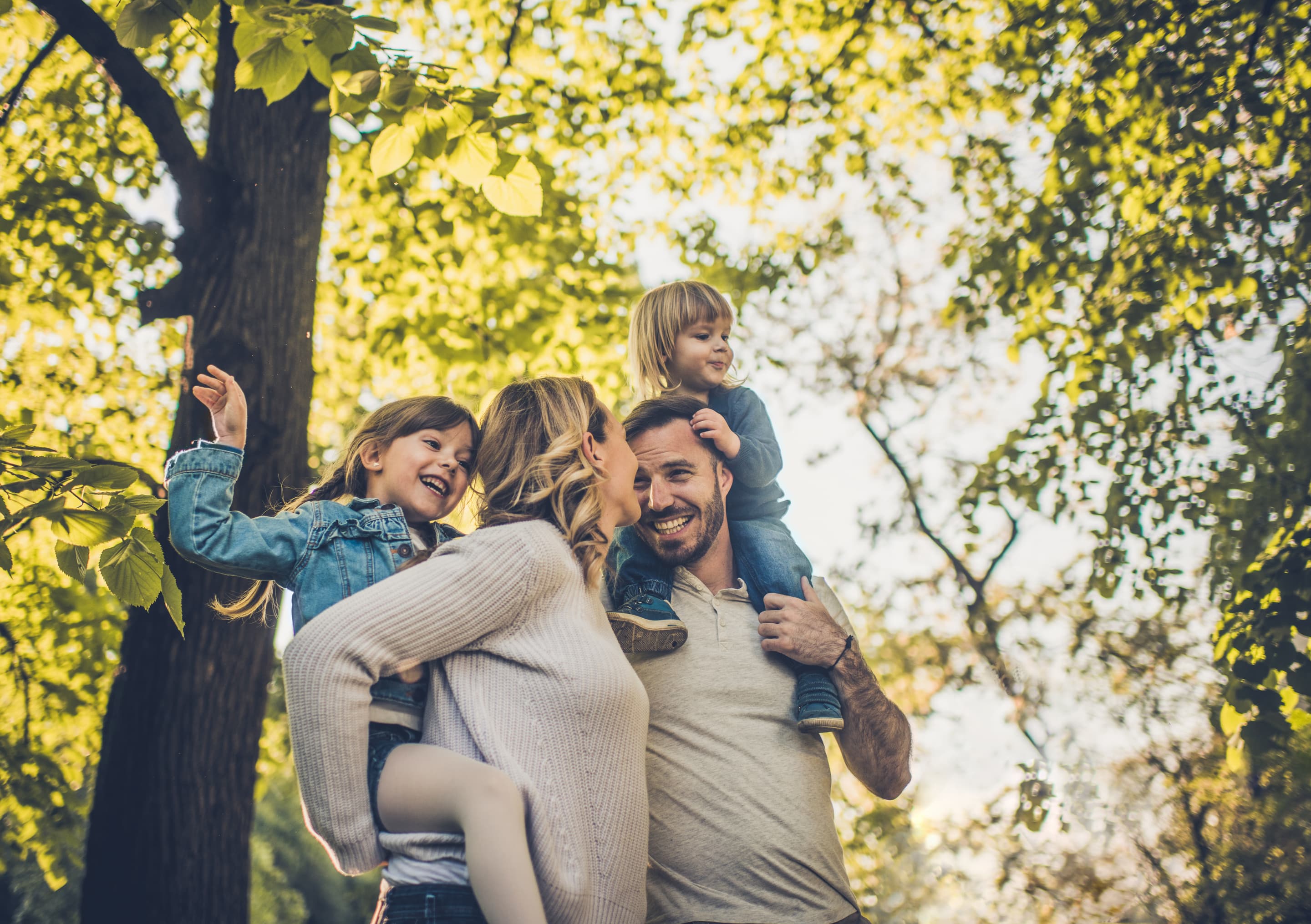 Group life insurance - life insurance or critical illness insurance 
