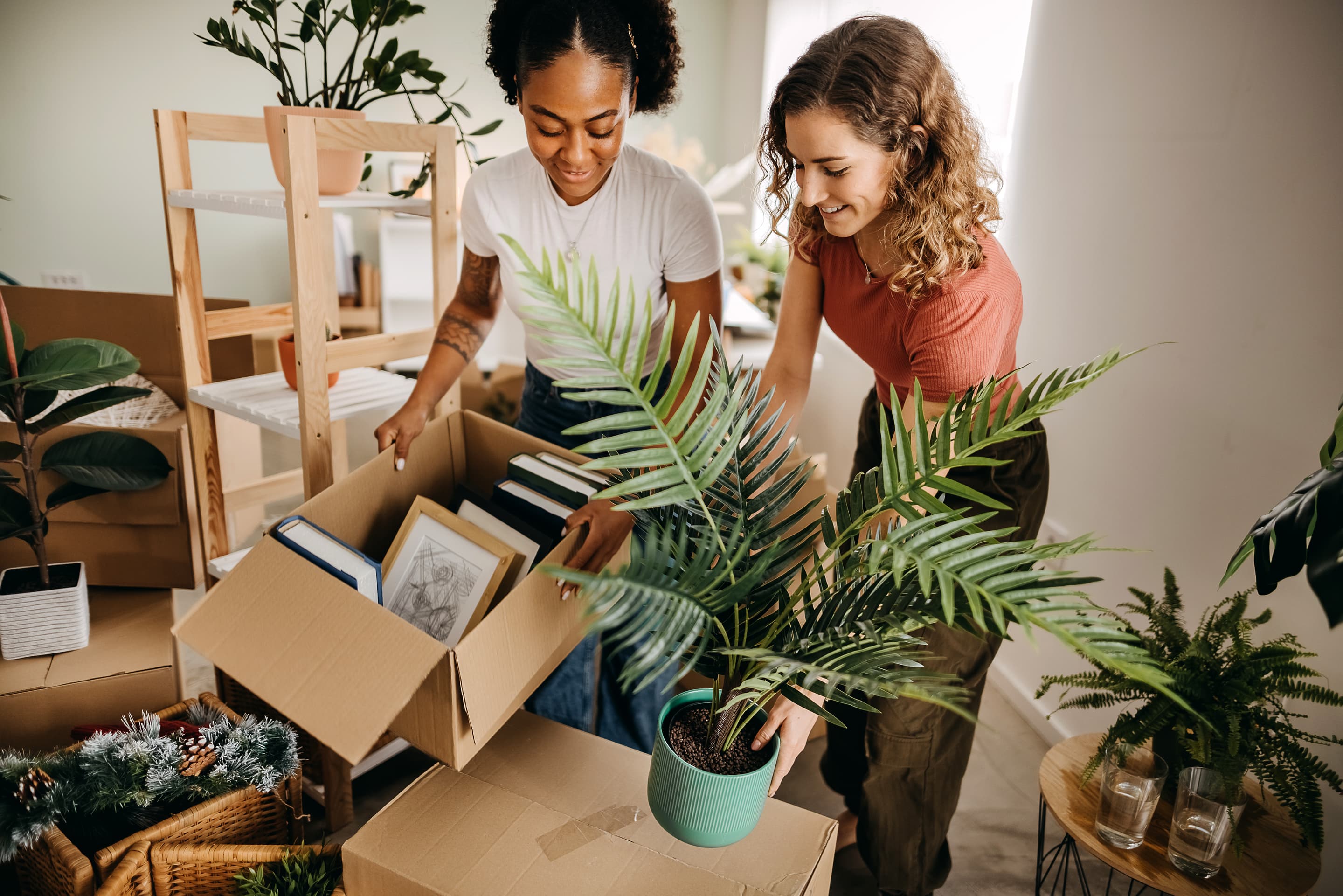 Student: home contents insurance and cover 