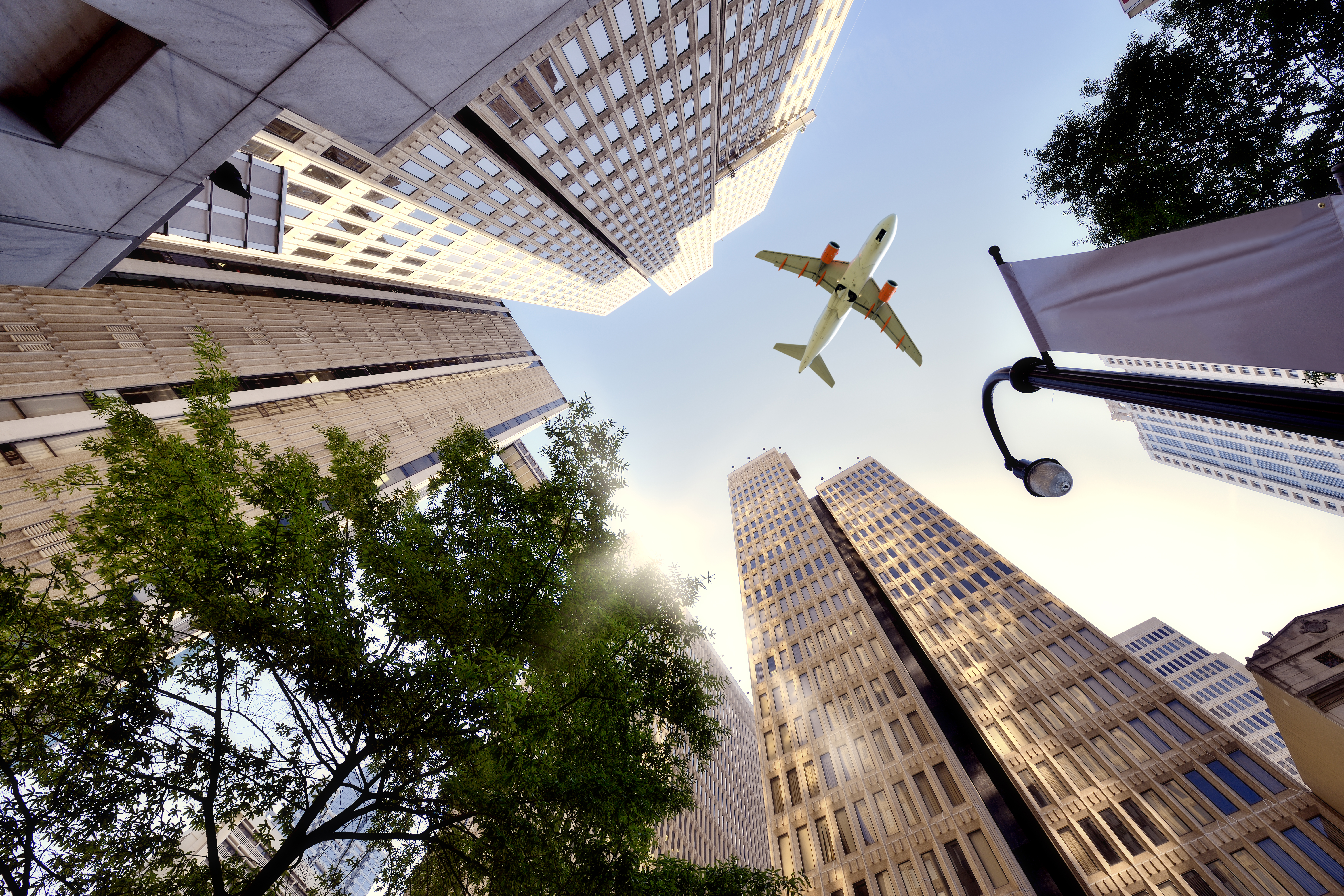 Business travel insurance provides security 