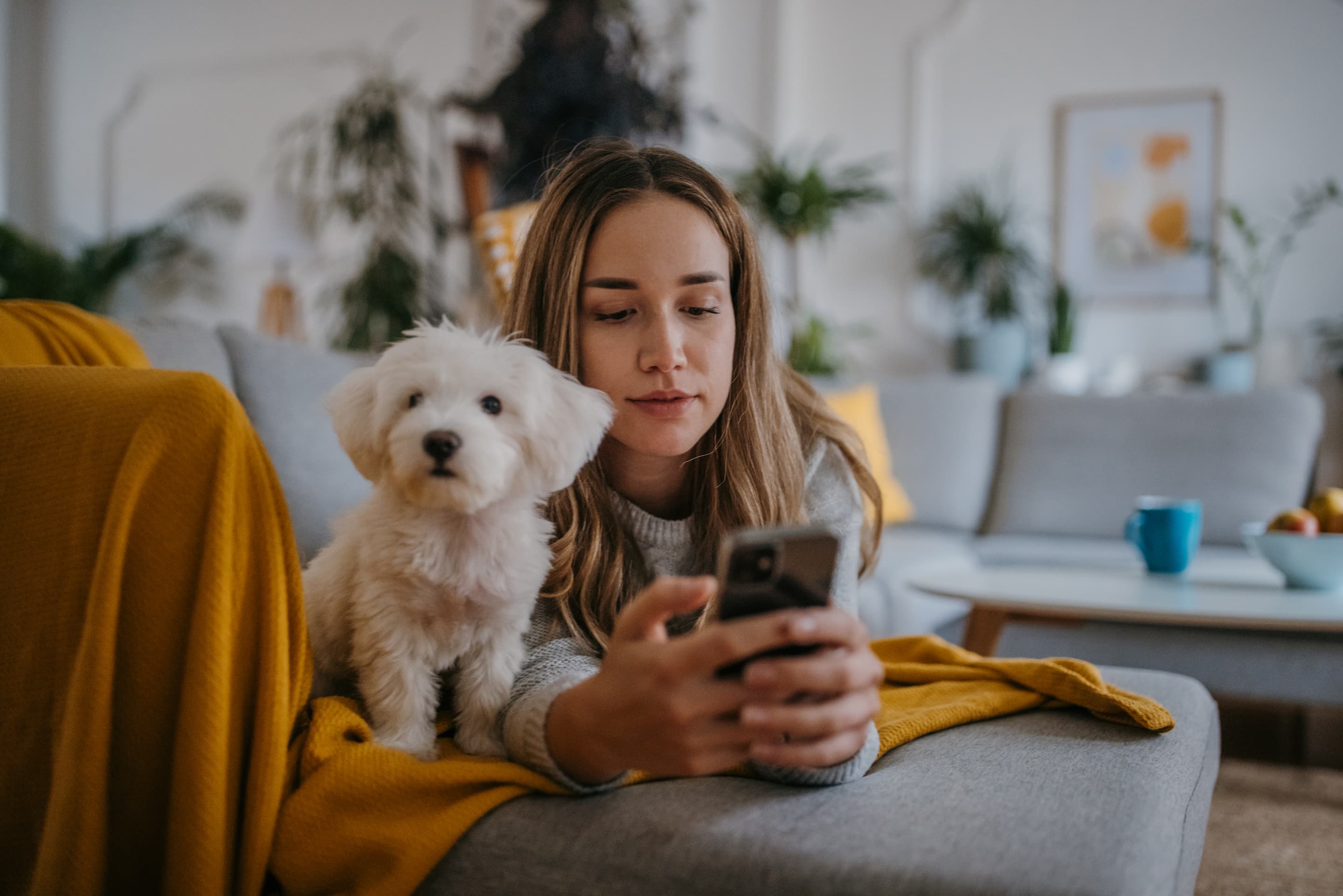 Dyrlæge Hotline Veterinary Hotline: Get an assessment - without leaving your home