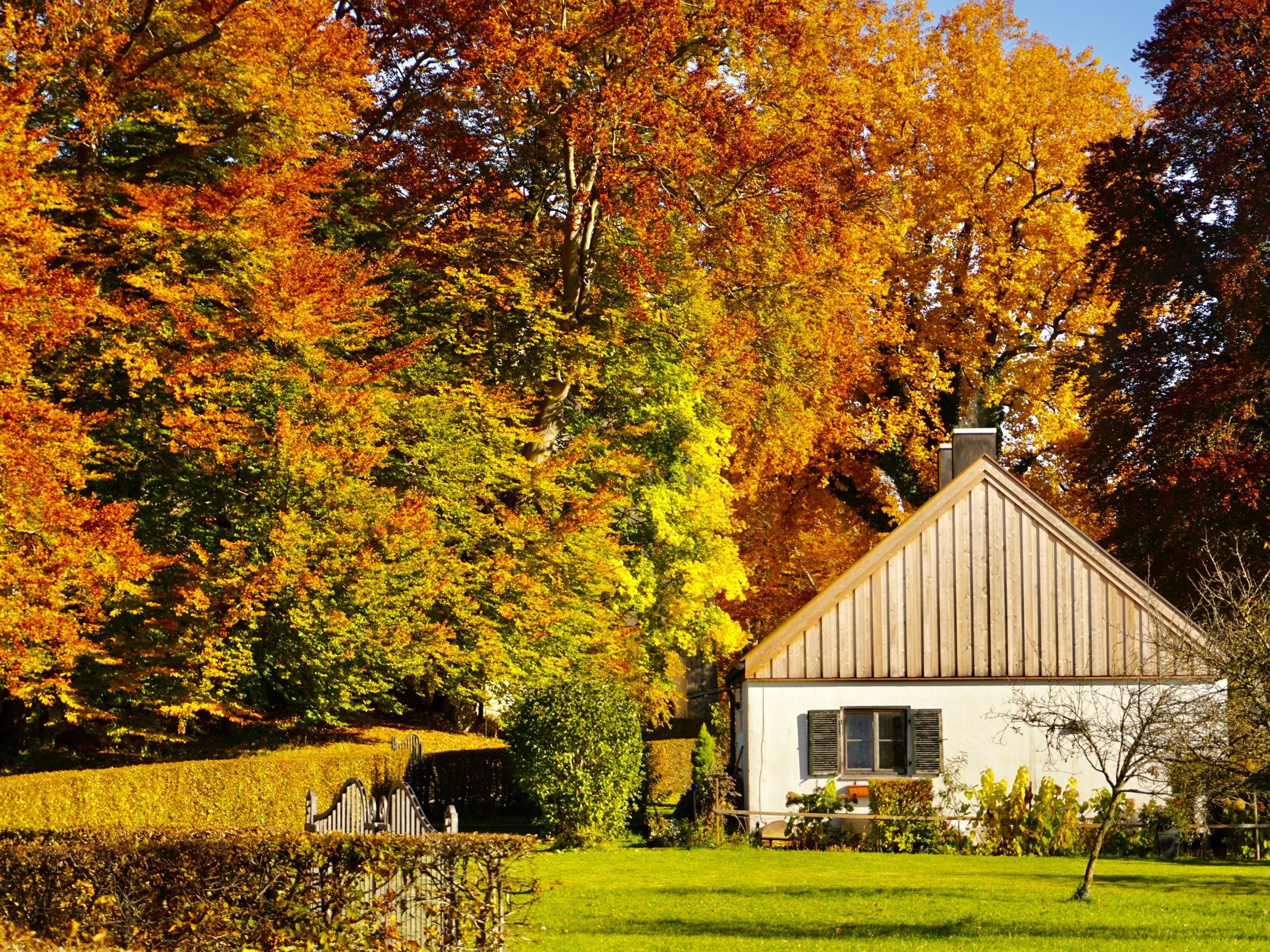 Autumn guide: How to get your summer house ready