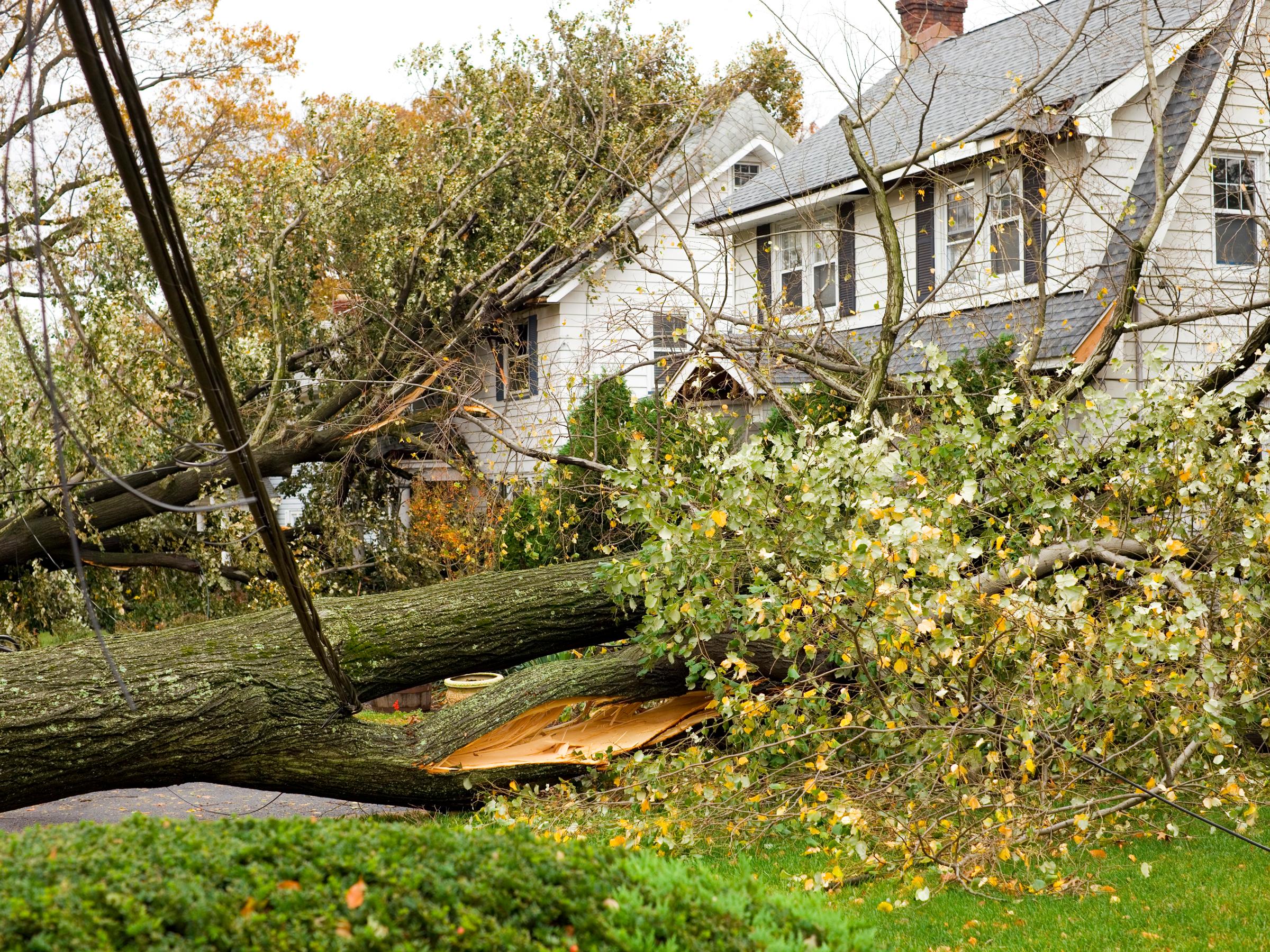 How to protect your home from a storm